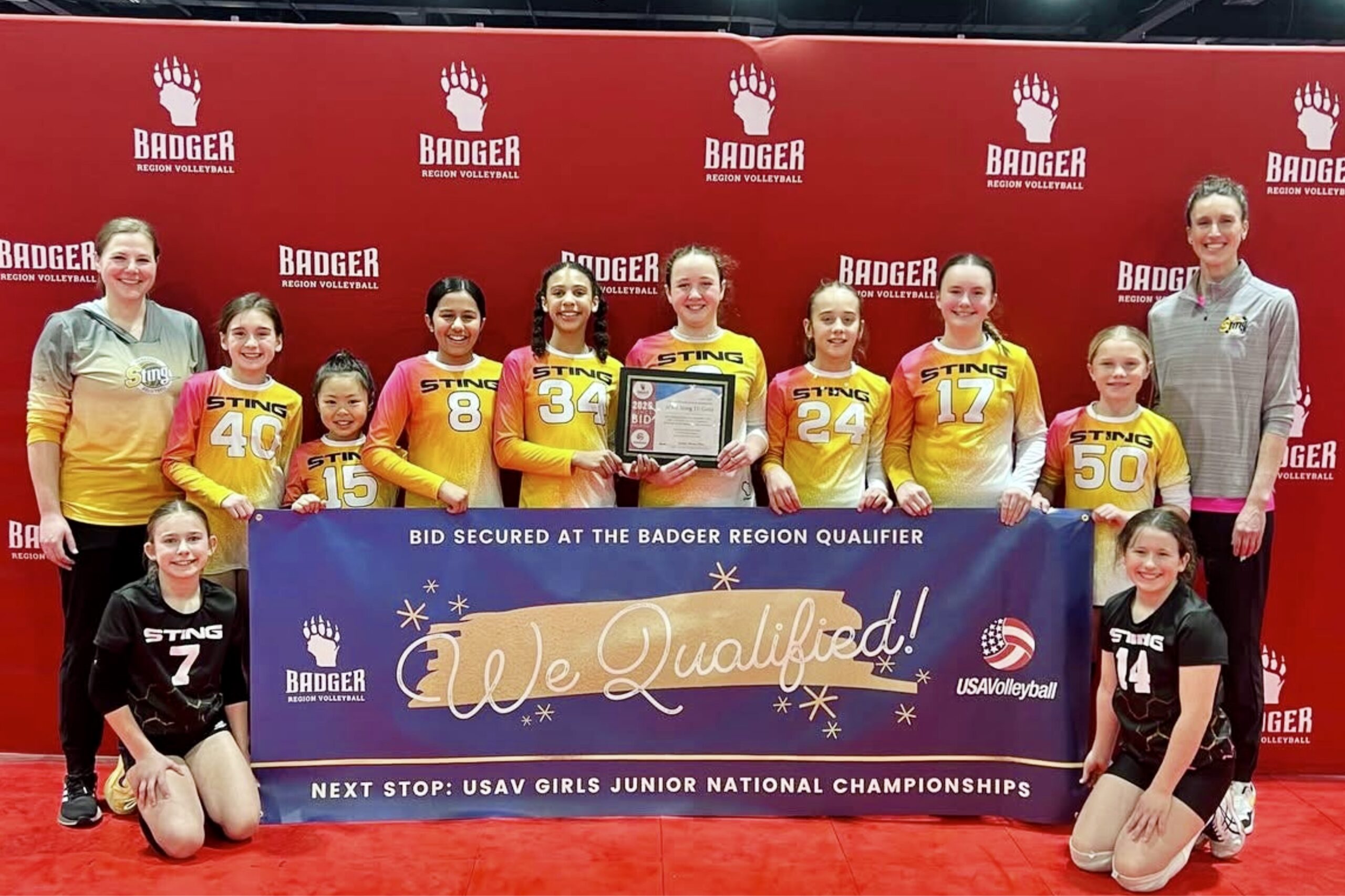 Sting 11 Gold - 11 National Division