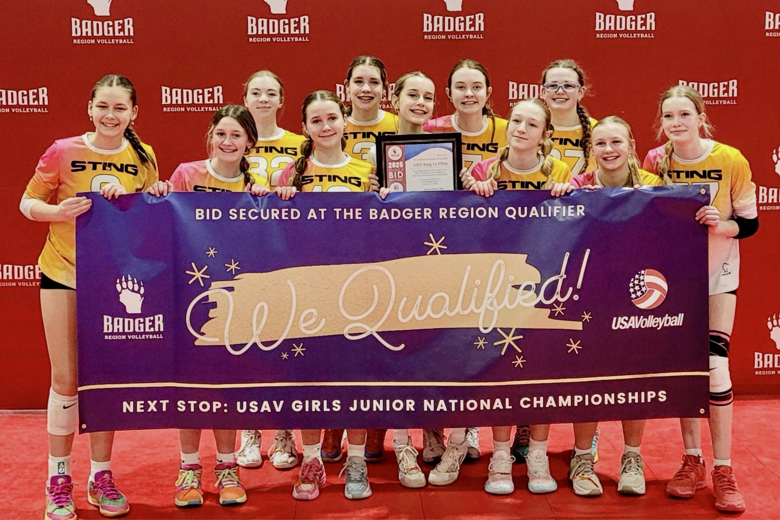 Sting 11 Gold - 11 National Division